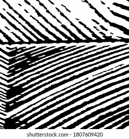 Nature Striped Background for your Design. Grunge Background with Black and White Stripes. Monochrome Grunge Pattern. Rough Arcuate Stripes. Vector Texture. Rough Black and White Background.