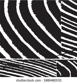 Nature Striped Background for your Design. Rough Black and White Background. Grunge Background with Black and White Stripes. Monochrome Grunge Pattern. Rough Arcuate Stripes. Vector Texture.