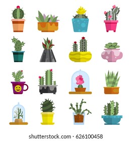 Nature succulent home cactus tropical plant vector illustration.