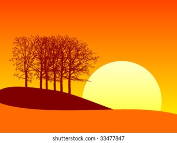 nature of summer