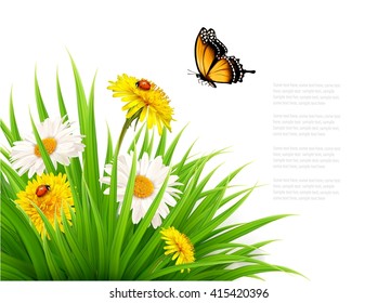 Nature summer background with daisy flower with butterfly. Vector illustration.