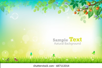 nature summer backgrounds