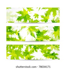 Naturessommerbanner