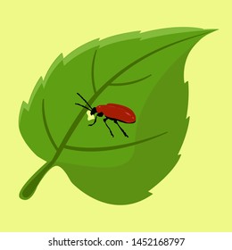 Nature, summer, beetle on a leaf