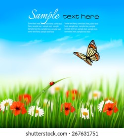 Nature summer colorful flowers with butterfly. Vector illustration.