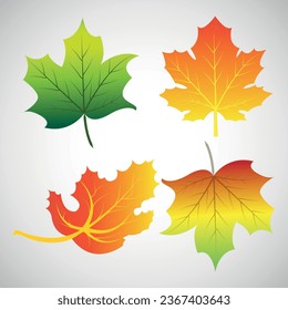 Nature, Summer, Natural, Leaf, Tree, Tropical, Branch, Botany, Plant, Autumn, Forest, Forest, Green, Illustrator, Vector, Abstract, Autumn, Spring, Leaves, Season, Colorful, Orange, Green, Red, Bright