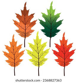 Naturaleza, Verano, Natural, Hoja, Árbol, Tropical, Rama, Botánica, Planta, Otoño, Bosque, Bosque, Verde, Ilustrador, Vector, Resumen, Otoño, Primavera, Hojas, Temporada, Colorido, Naranja, Verde, Rojo, Caída