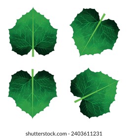 Nature, Summer, Natural, Leaf, Tree, Tropical, Branch, Botany, Plant, Autumn, Forest, Forest, Green, Illustrator, Vector, Abstract, Autumn, Spring, Leaves, Season, Colorful, Orange, Green, Red, Fall