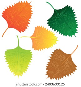 Nature, Summer, Natural, Leaf, Tree, Tropical, Branch, Botany, Plant, Autumn, Forest, Forest, Green, Illustrator, Vector, Abstract, Autumn, Spring, Leaves, Season, Colorful, Orange, Green, Red, Fall