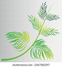 Nature, Summer, Palm, Leaf, Tree, Tropical, Branch, Botany, Plant, Autumn, Forest, Coconut, Forest, Green, Illustrator, Vector, Abstract, , INFO, TEXT, CONCEPT, ELEMENT, Botany, Branch, OBJECT