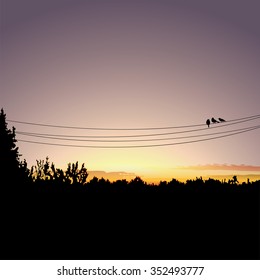 Nature sunset background