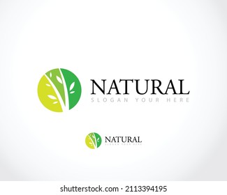 Nature symbol creative organic concept. Bio health care herbal abstract business eco logo. Fresh food, circle pack, beauty flora, pharmacy icon.