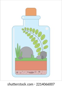 Nature Terrarium In Glass Bottle