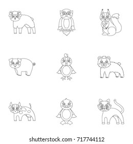 Nature, toys, farm, zoo and other web icon in outline style.Kangaroo, marsupial, Australia, icons in set collection.