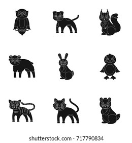 Nature, toys, farm, zoo and other web icon in black style.Kangaroo, marsupial, Australia, icons in set collection.