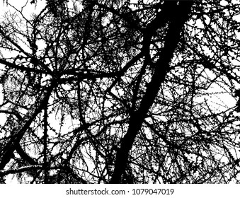 Nature. Tree. Branches. Decor background.