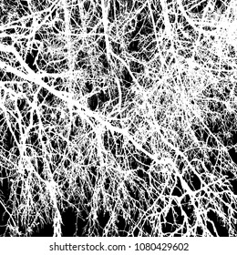Nature. Tree. Branches. Decor background.
