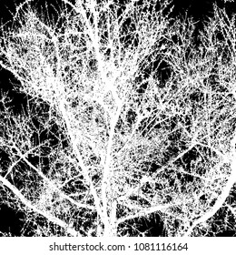 Nature. Tree. Branches. Decor background.