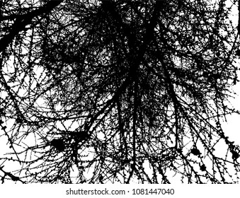 Nature. Tree. Branches. Decor background.