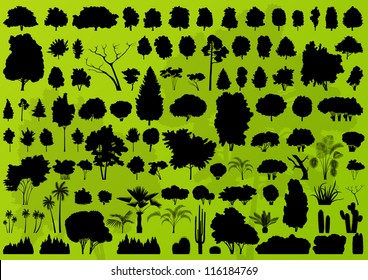 Nature tree, bush, scrub, palm and cactus plants detailed forest silhouettes illustration collection background vector