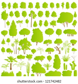 Nature tree, bush, scrub, palm and cactus plants detailed forest silhouettes illustration collection background vector