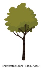 Nature tree with leaves isolated cartoon vector illustration graphic design
