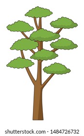 Nature tree with leaves park cartoon vector illustration graphic design.