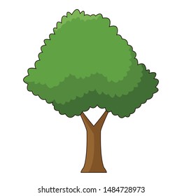 Nature tree with leaves park cartoon vector illustration graphic design.
