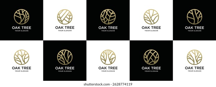 Nature tree logo design collection. Circle nature tree logo template. Nature logo symbol icon