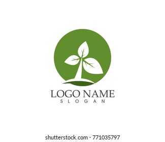 Nature tree logo design template