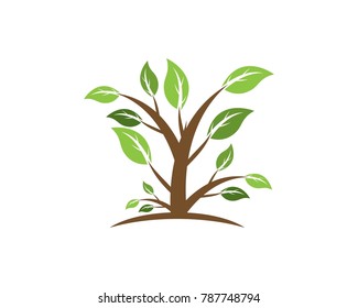Nature tree logo design template