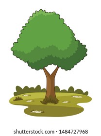 Nature tree on grass at nature cartoons vector illustration graphic design.