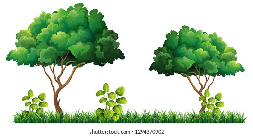 Nature tree on white background illustration