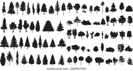 Nature Tree Silhouette Collection ,Tree Silhouette Set on White Background - Vector Art EPS