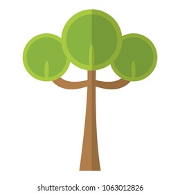 nature tree with stem and leaves branches