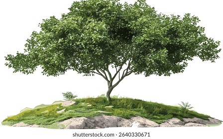 Nature tree vector, transparent backgrounds, eco landscaping, green trees, cut out illustrations, environmental design, natural outdoor scenes, sustainable artwork, eco friendly elements