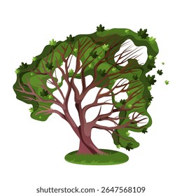 Árvore natural em clima ventoso ou bordadura de bordo. Vetor clipart cênico de madeira e brisa. Elementos florestais ou florestais, paisagísticos ou de parques. Folhagem e movimento do tronco. Flora, biologia, botânica.