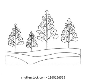 nature trees forest foliage