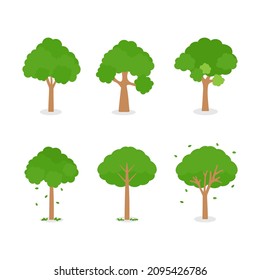 Nature and trees produce oxygen for the earth and life, creates fresh air for people and animals. (Park, garden, outdoors, landscape, nature woods, green forests, seasonal)