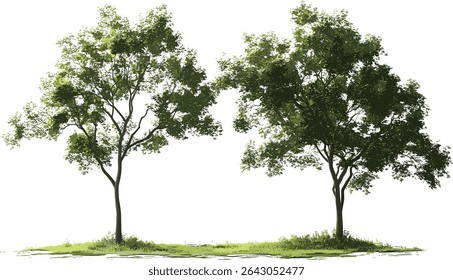 Nature trees, vector shapes greenery, transparent backgrounds, environmental design, contour nature, natural landscape, green leaves, eco friendly vector art