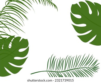 Nature tropical background - leaves (palm, ficus, monstera) Vector image