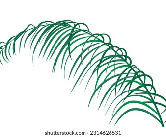 Nature tropical background - leaves. Vector