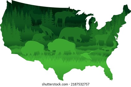 Nature of USA in paper art style. Vector illustration.