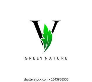 Nature V Letter Green Leaf Logo Design.