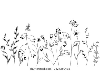 Nature vector background with hand-drawn wild grasses, flowers and leaves on white. Floral illustration in the Doodle style.