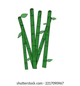 nature vector bamboo tree illustration, in green.