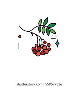 Nature vector berry blueberry
