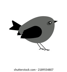 nature vector bird isolated illustration.
