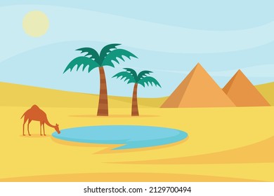 Nature vector concept. Thirsty camel drinks water in the oasis desert with pyramid background