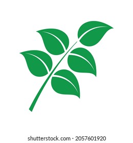 Diseño de vectores naturales. Descarga de diseño de vectores.